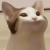 PopCat Click APK APK